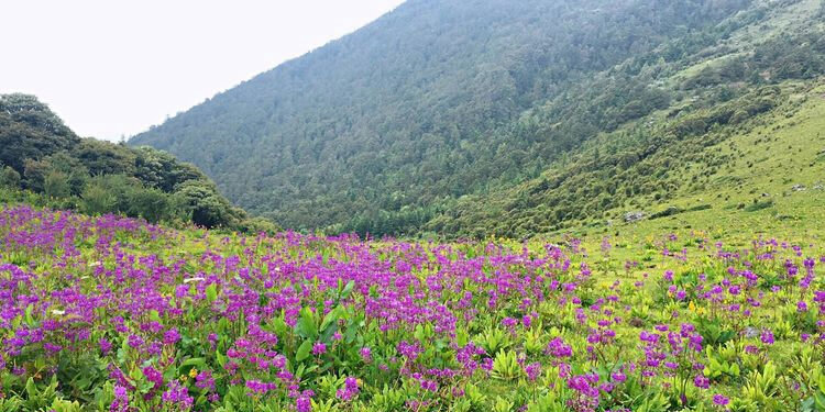 麗江玉龍雪山徒步登山攻略