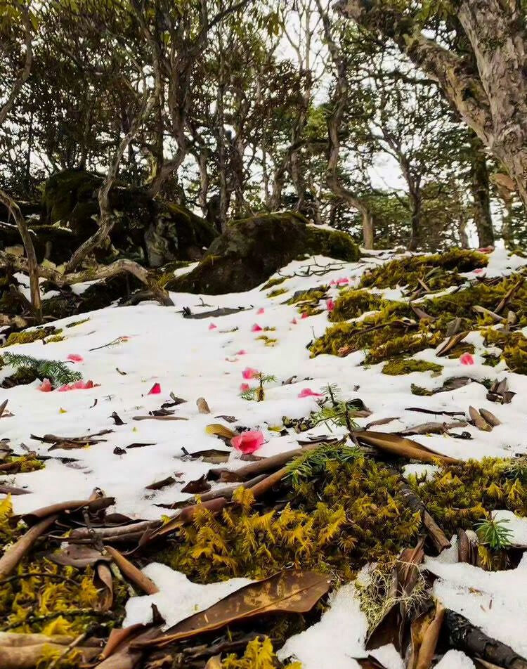 麗江石頭鄉(xiāng)桃花村戶外徒步路線