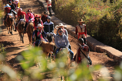 這里交通便利，區(qū)位優(yōu)越，境內(nèi)擁有高原濕地、茶馬古道、環(huán)湖生態(tài)步道、臥虎山、傳統(tǒng)古村、環(huán)海觀光大道等自然風(fēng)光，以及多彩的納西文化和獨(dú)特的田園風(fēng)光，是一個(gè)以自然資源和文化資源為主要特色的旅游名村。