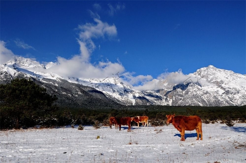 麗江玉龍雪山