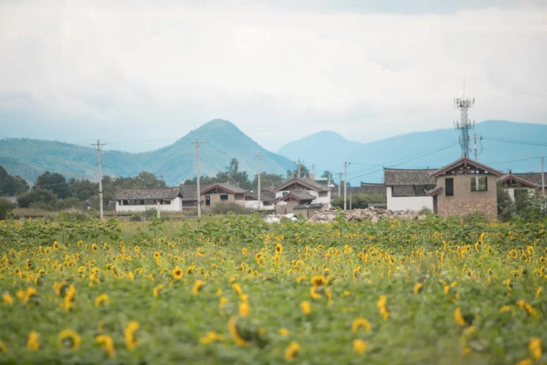 麗江