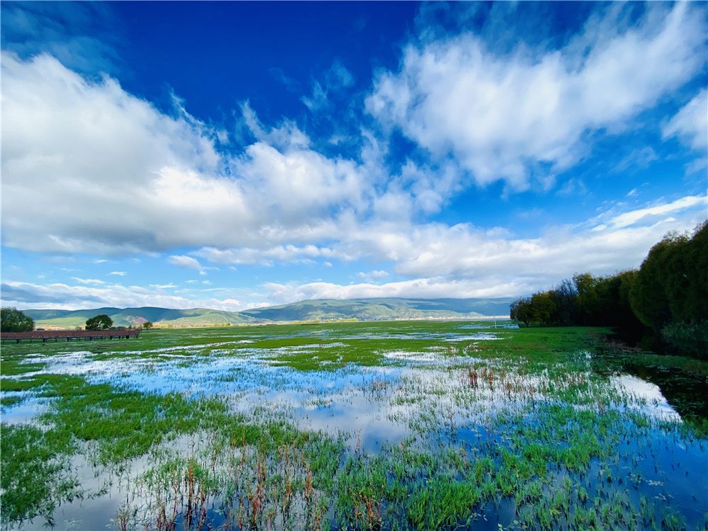 麗江拉市海