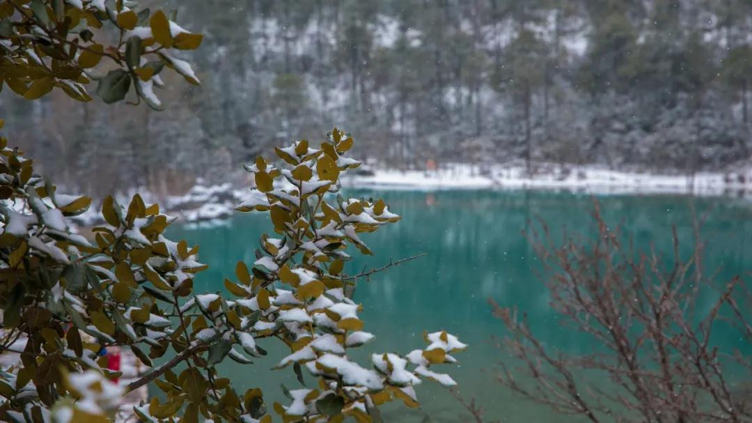 玉龍雪山藍(lán)月谷