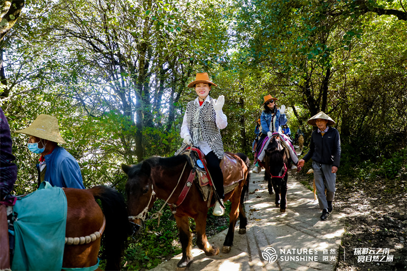 麗江拉市海茶馬古道騎馬團建